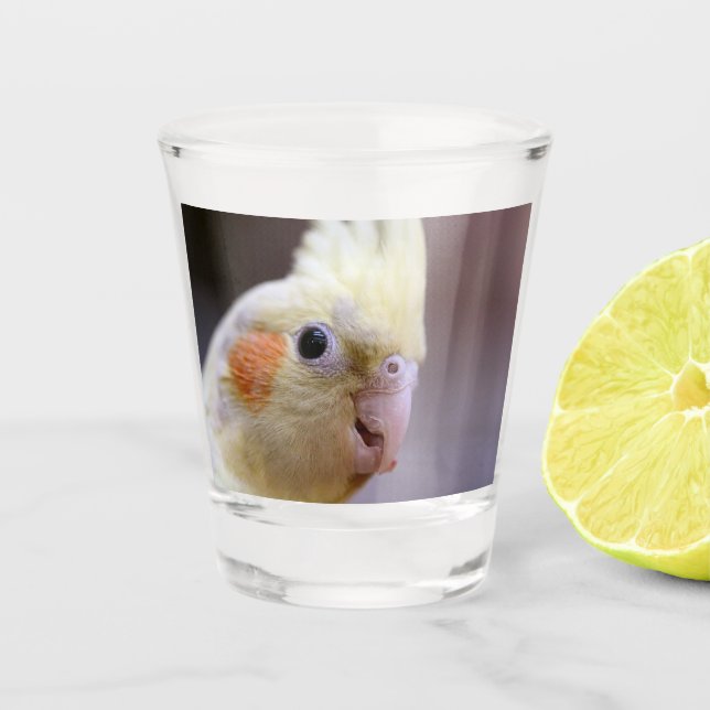 Verre A Shot Joyeux tiel (Devant)