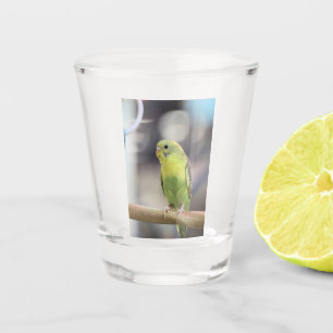 Verre A Shot Kiwi Burbell