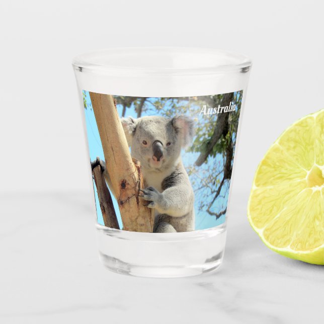 Verre A Shot Koala de Down Under - L'Australie Shot Glass (Devant)