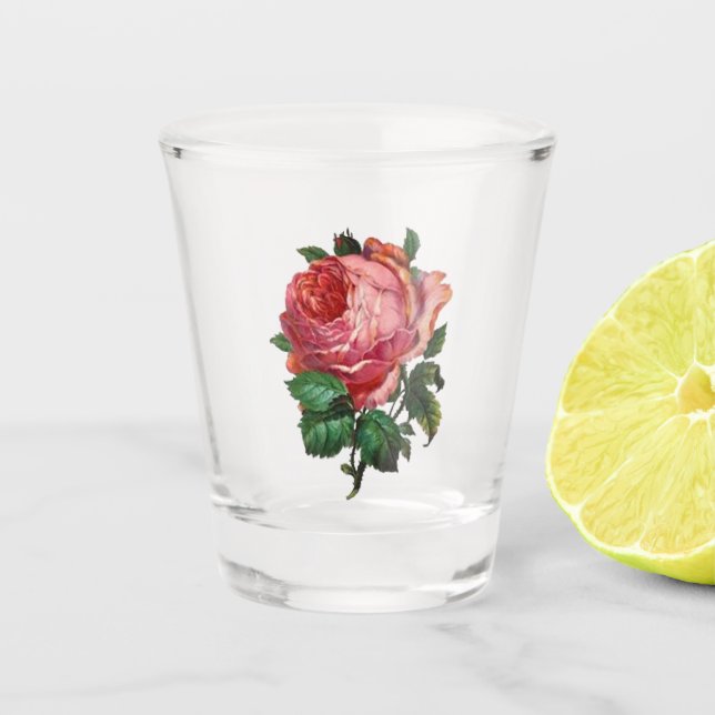 Verre A Shot L'antiquité s'est levée (Devant)
