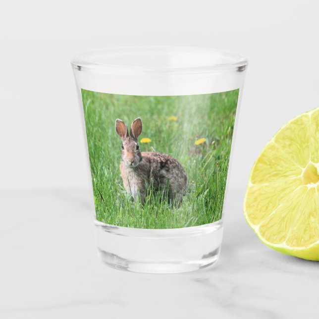Verre A Shot Lapin (Devant)