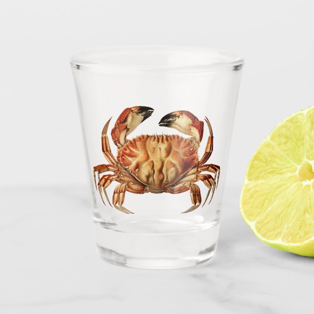 Verre A Shot Le crabe de Dungeness - Cancer Bellianis (Devant)