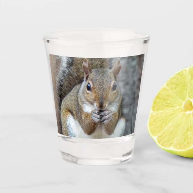 Verre A Shot L'écureuil qui aime la noix (Devant)