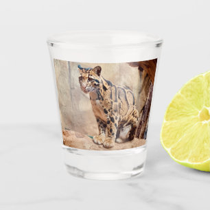Verre A Shot léopard nébuleux image nature faune exotique