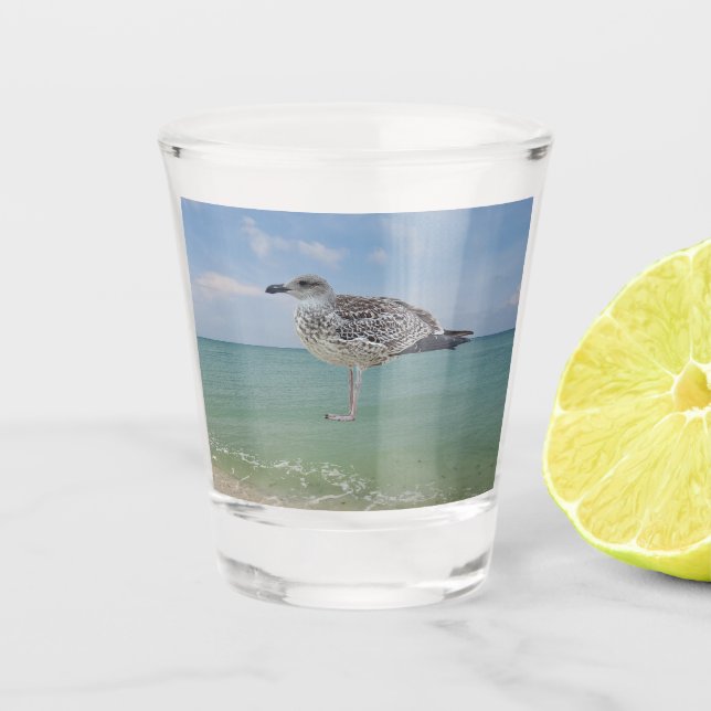 Verre A Shot Les mouettes (Devant)