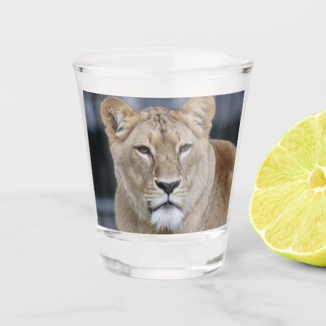 Verre A Shot Lion 004 (Devant)