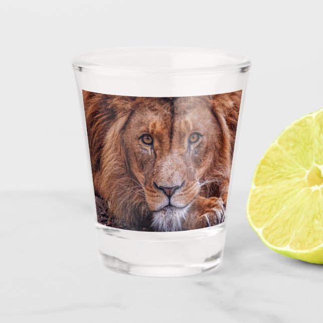 Verre A Shot Lion africain (Devant)