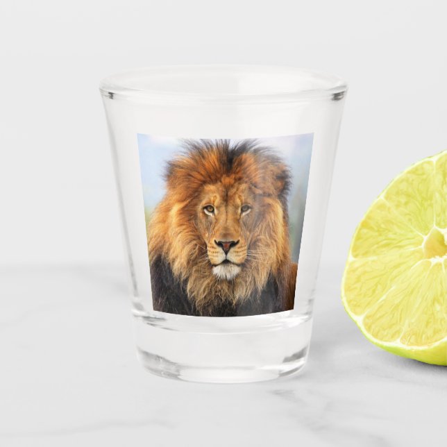 Verre A Shot Lion d'Afrique 1 (Devant)