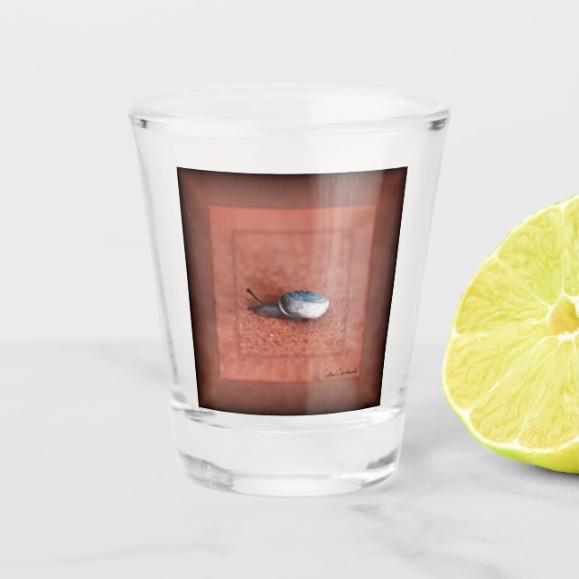 Verre A Shot Macro Photographie de Snail sur Terracotta (Devant)