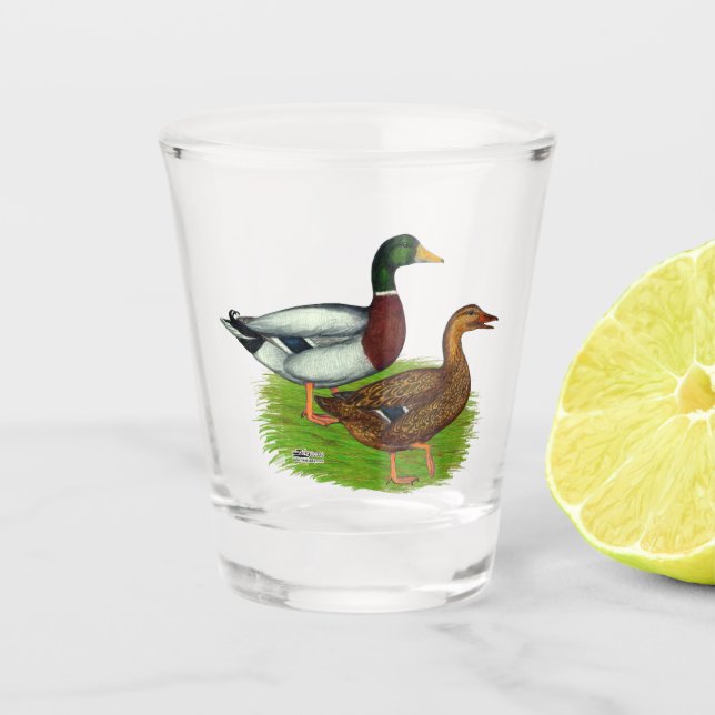 Verre A Shot Mallard Drake et Duck (Devant)