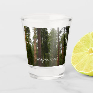 Verre A Shot Mariposa Grove dans le parc national de Yosemite