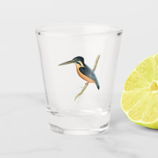 Verre A Shot Martin-pêcheur asiatique