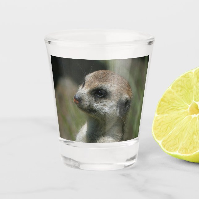 Verre A Shot Meerkat 043 (Devant)