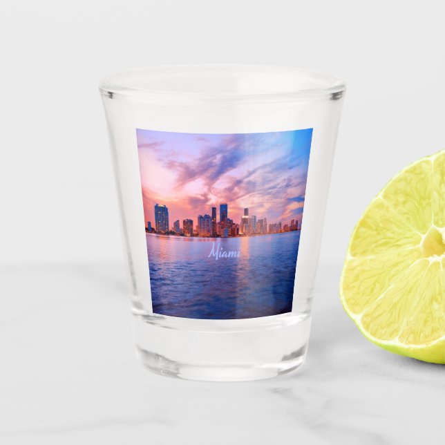 Verre A Shot Miami Beach Florida City Skyline (Devant)