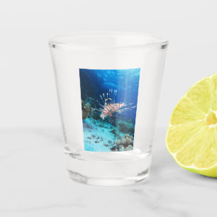 Verre A Shot Miles de poissons-lions ou de ptérois, poissons de