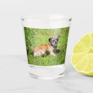 Verre A Shot Molly