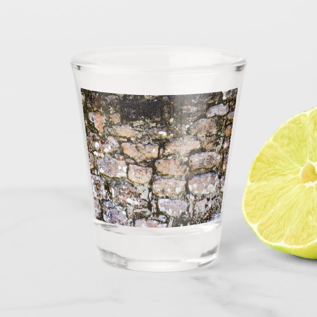 Verre A Shot Mur de ruines mayas (Devant)