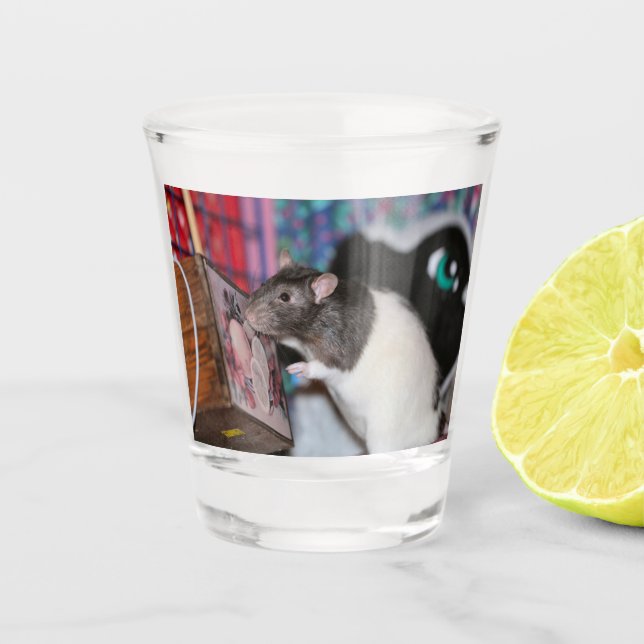 Verre A Shot Nosey Rat (Devant)