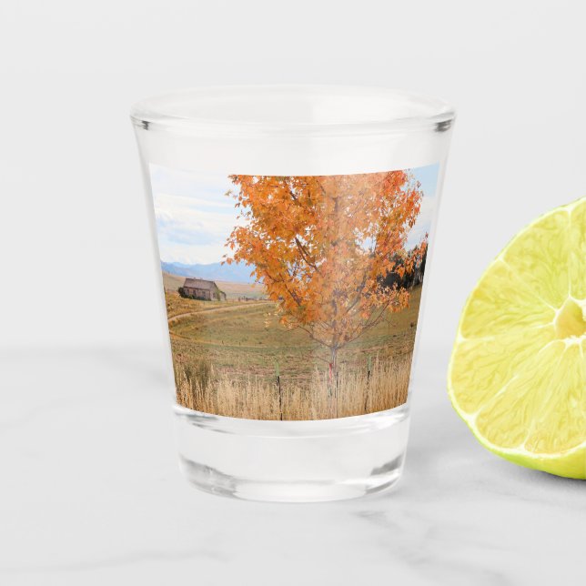 Verre A Shot Octobre lumineux  (Devant)