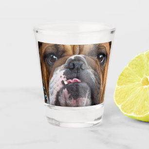 Verre A Shot Oreillers à lancer de Bulldog anglais