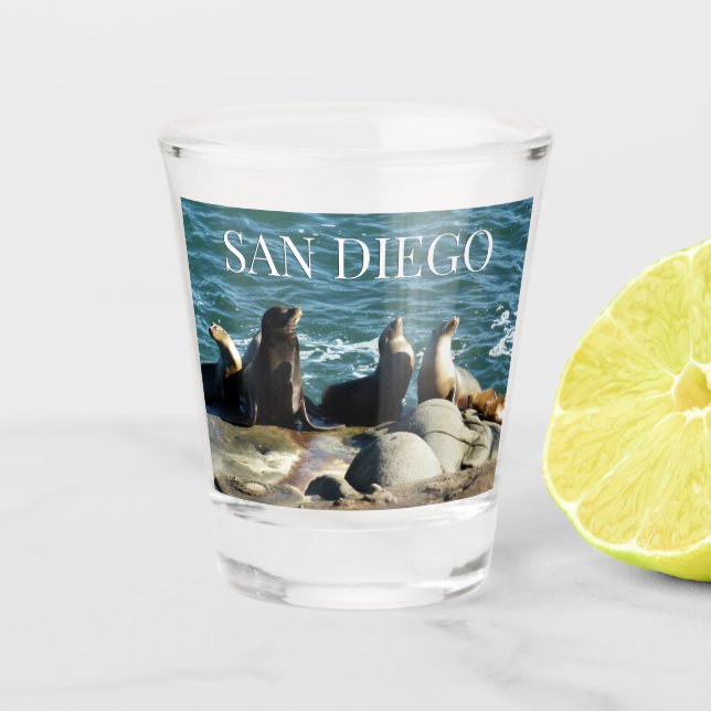 Verre A Shot Otaries de San Diego (Devant)
