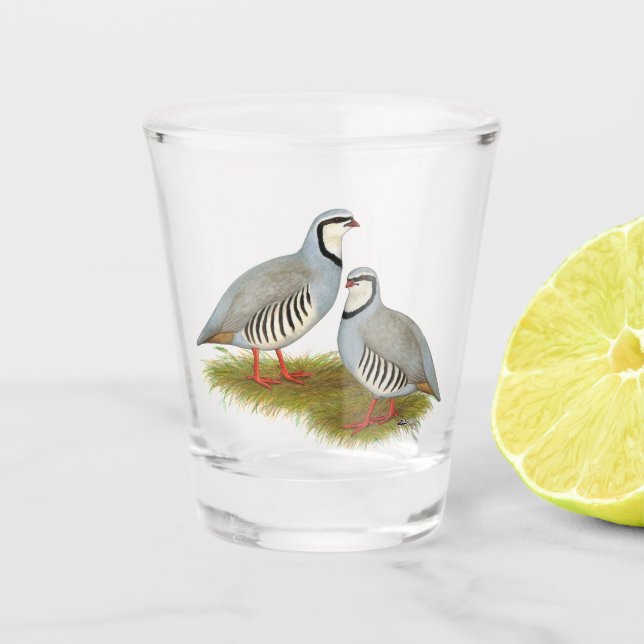 Verre A Shot Paire de perdrix de Chukar (Devant)