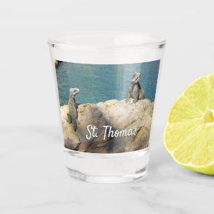 Verre A Shot Paire d'Iguanes Photographie de faune tropicale