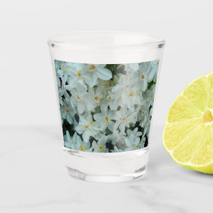 Verre A Shot Paperwhite Narcissus Fleurs blanches délicates