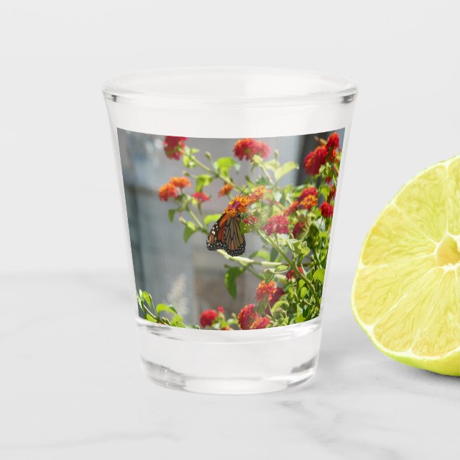 Verre A Shot Papillon Monarque sur un Buddleia Rouge (Devant)