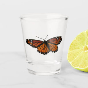 Verre A Shot Papillon Viceroy Belle photographie de la nature