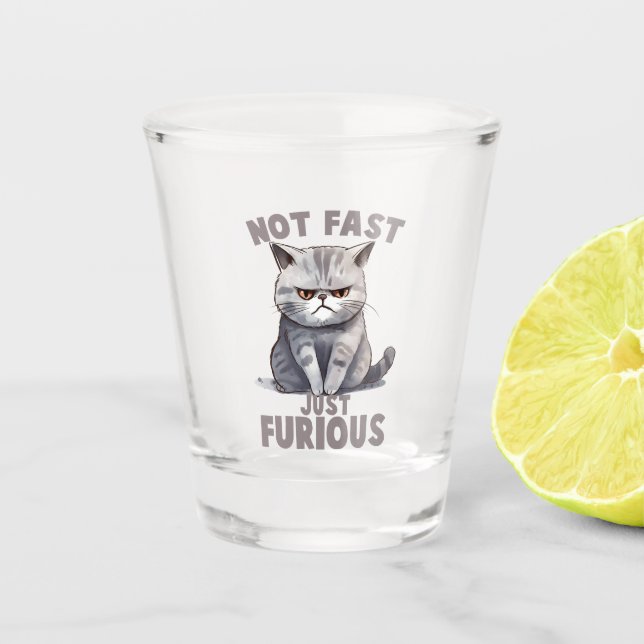 Verre A Shot Pas rapide, juste furieux - Humour de chat gris (Devant)