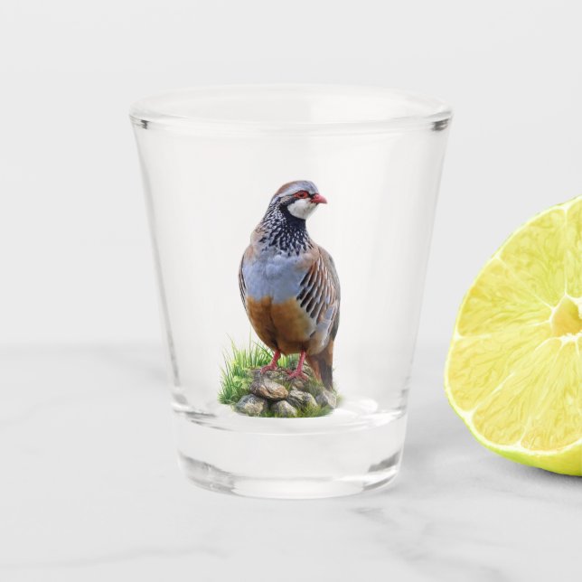 Verre A Shot Perdrix de Chukar, Art (Devant)