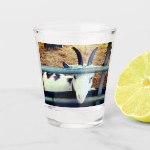 Verre A Shot Petite mignonne