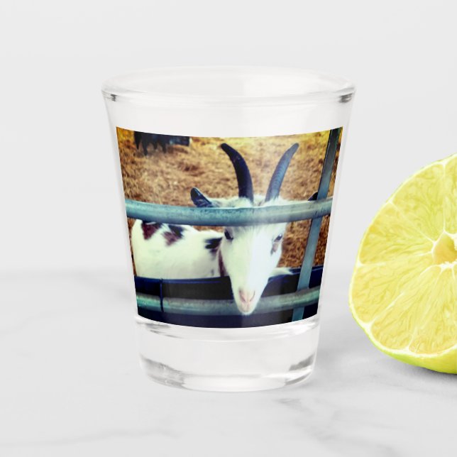 Verre A Shot Petite mignonne (Devant)
