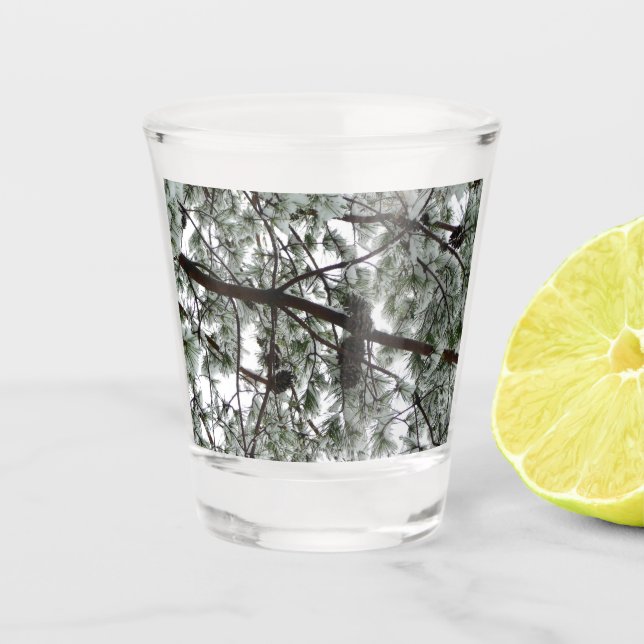 Verre A Shot Photo hivernale sous le pin couvert de neige (Devant)