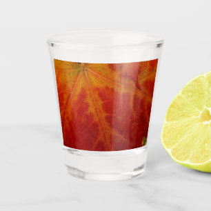 Verre A Shot Photographie abstraite de la feuille d'érable roug