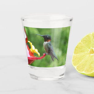 Verre A Shot Photographie d'oiseau de colibri à gorge rubis