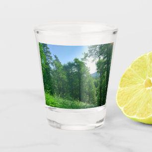 Verre A Shot Photographie du paysage de la forêt verte