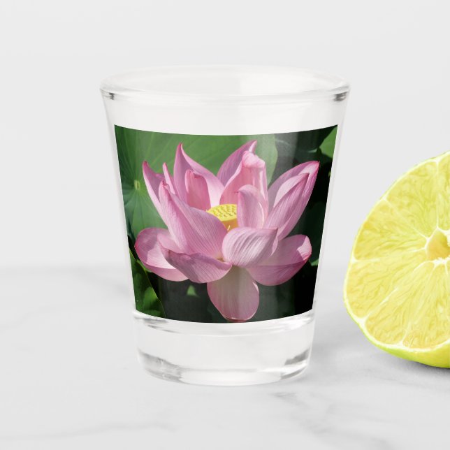 Verre A Shot Pink Lotus Flower IV (Devant)