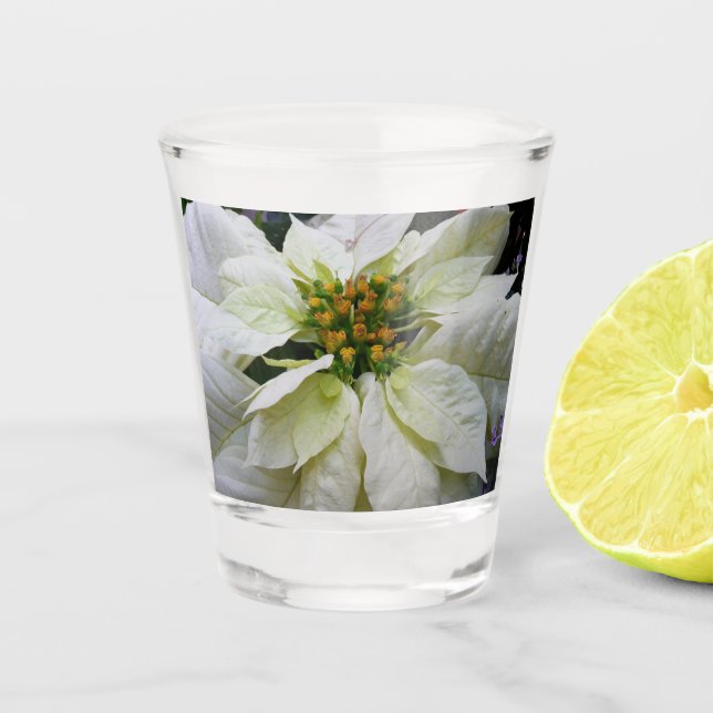 Verre A Shot Poinsettia Elegant Christmas Holiday Floral (Devant)