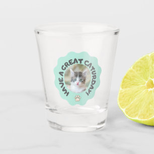 Verre A Shot Prenez un grand caturjour ! Photo de chat Turquois