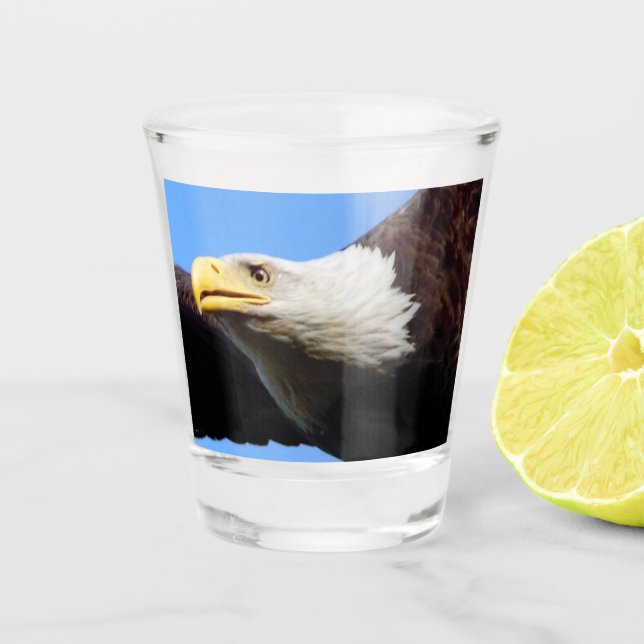 Verre A Shot Profil d'aigle à tête blanche (Devant)
