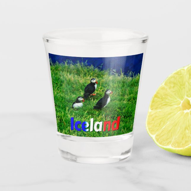 Verre A Shot Puffins (Devant)