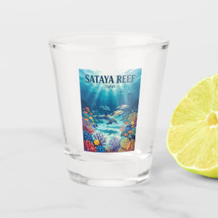 Verre A Shot Récif de Sataya Égypte