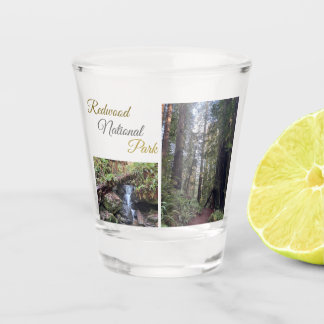 Verre A Shot Redwood National Park Shot Glass