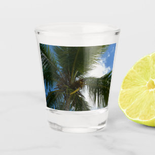 Verre A Shot Regard sur le palmier à coco Nature tropicale