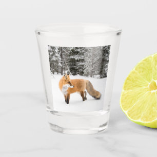 Verre A Shot Renard Rouge dans la Neige Blanche