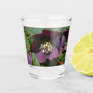 Verre A Shot Rose de carême pourpre