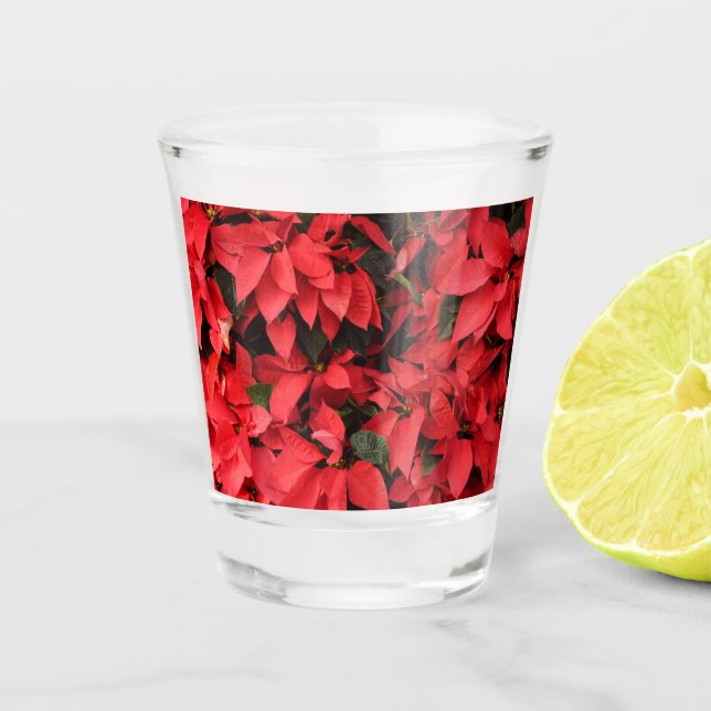Verre A Shot Rouge Poinsettias II Noël Fête Florale (Devant)