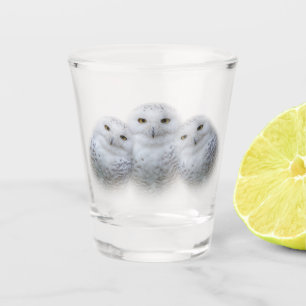 Verre A Shot Sagesse de rêve de la famille des Chouettes de nei